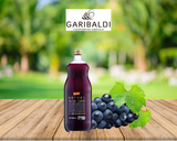 Suco de Uva Integral - Garibaldi Astral